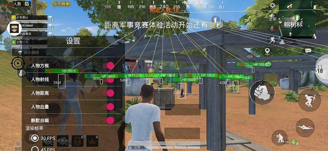 和平精英辅助【神眸】